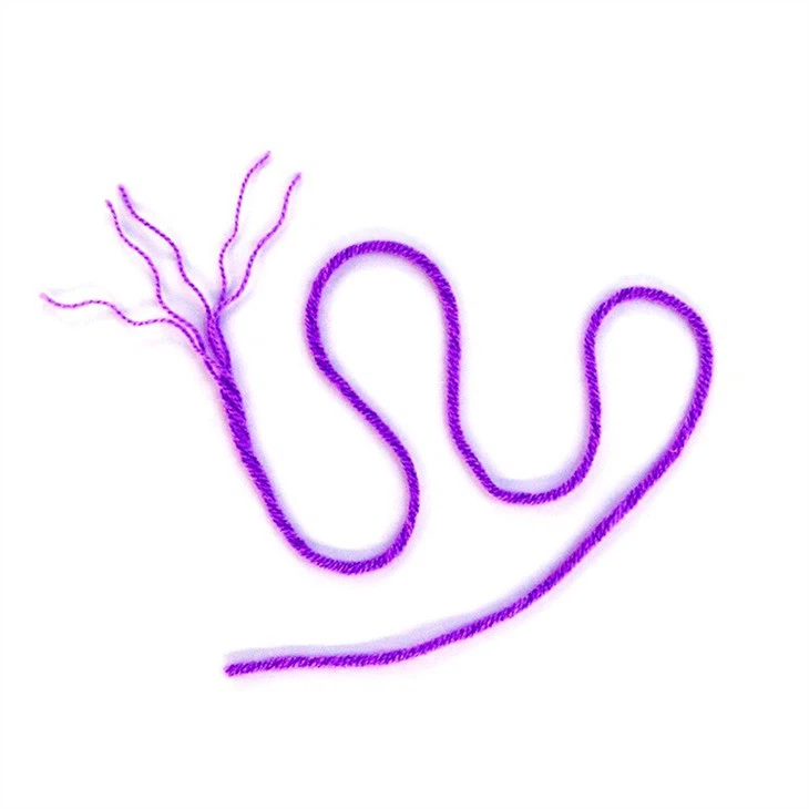 5ply milk cotton yarn